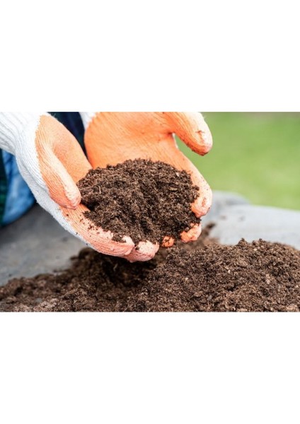 Çingene Şalvarı Toprağı Torfu 9 Kğ Özel Karışım Bitki Toprağı