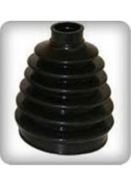 Aks Körüğü Diş Takim V347 2.2 Tdci 06 11 Dpmah