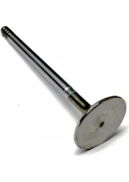 Subap Emme Eksoz Brava 1.8 16V In-8/ex-8 Alfa 156 1.6 1.8 2.0 147 145 146 Gt Gtv Bravo Stlio Dpmah