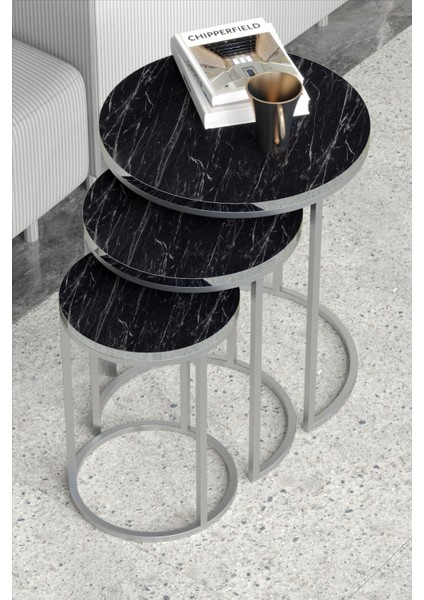 Zigon Sehpa C Lüx Gümüş Bendir modelleri