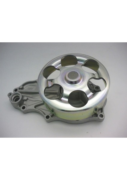 Devirdaim Su Pompasi Honda Civic Type-R 2.0l K20A2 Ep3 01-05 Dpmah