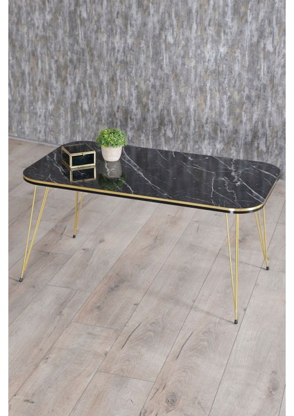 Zigon Sehpa ve Orta Sehpa Kr Set Çift Gold Bendir Tel fiyatları