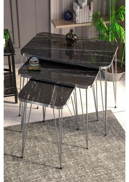 Zigon Sehpa Kr ve Orta Sehpa Kr Set Gümüş Bendir Tel fiyatları