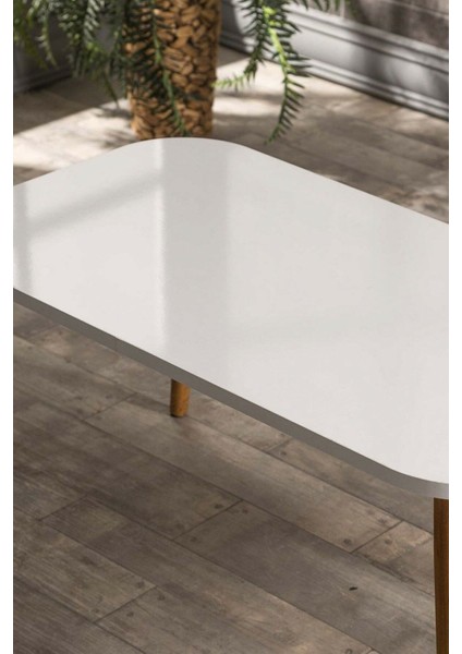 Zigon Sehpa ve Orta Sehpa Set Ahşap Kr Torna Beyaz modelleri