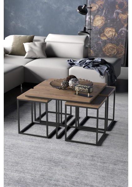 Orta Sehpa ve Zigon Sehpa 5'li Lüx Set Ceviz fiyatları