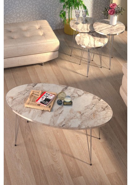 Zigon Sehpa ve Orta Sehpa Elips Set Gümüş Efes Tel fiyatları