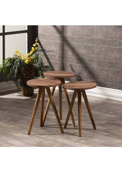 Zigon Sehpa ve Orta Sehpa Kr Torna Ceviz Set 3006