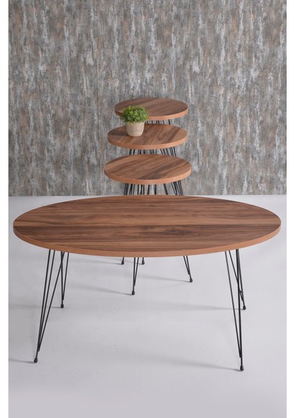 Orta Sehpa ve Zigon Sehpa Ceviz Set Tel Ayak Elips fiyatları