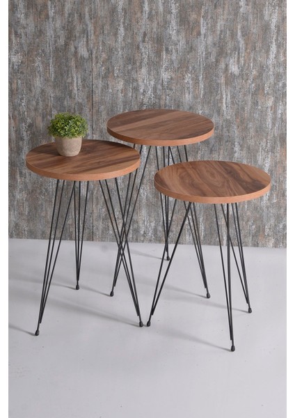 Orta Sehpa ve Zigon Sehpa Ceviz Set Tel Ayak Elips fırsatları