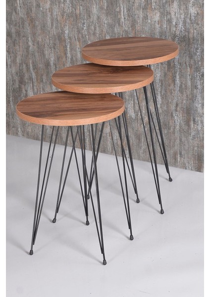 Orta Sehpa ve Zigon Sehpa Ceviz Set Tel Ayak Elips