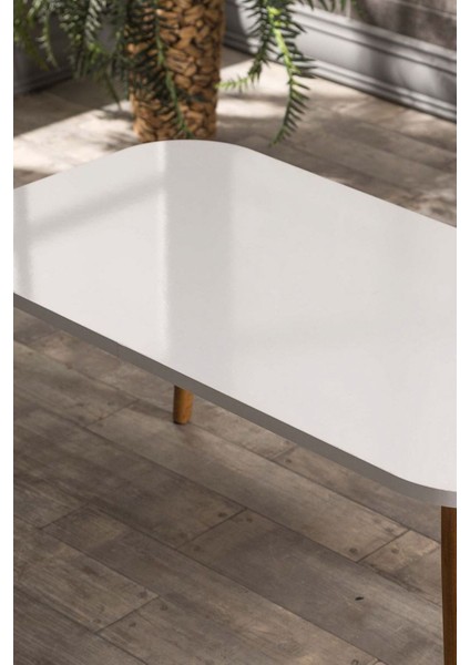 Zigon Sehpa ve Orta Sehpa Set Ahşap Kr Torna Beyaz modelleri