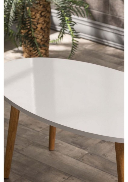 Zigon Sehpa ve Orta Sehpa Set Ahşap Torna Elips Beyaz fiyatları