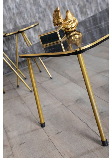 Zigon Sehpa ve Orta Sehpa Kr Set Çift Gold Bendir Metal