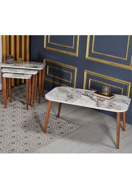 Zigon Sehpa Kr ve Orta Sehpa Kr Torna Set Efes