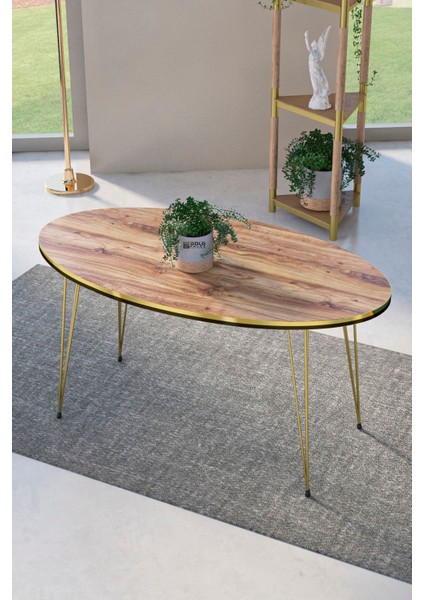 Zigon Sehpa ve Orta Sehpa Elips Set Çift Gold Ceviz Tel modelleri