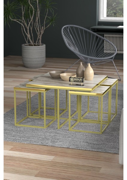 Orta Sehpa ve Zigon Sehpa 5'li Lüx Set Altın Efes fırsatları