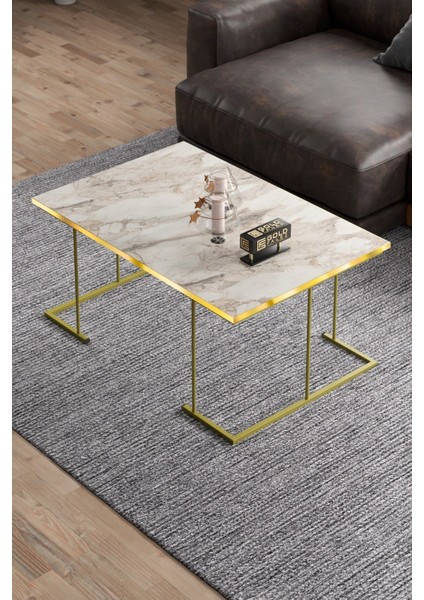 Orta Sehpa ve Zigon Sehpa Solo Set Gold Efes fiyatları