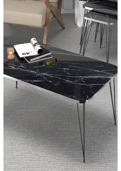 Zigon Sehpa Kr ve Orta Sehpa Kr Set Gümüş Bendir Tel Ayak Siyah fiyatları