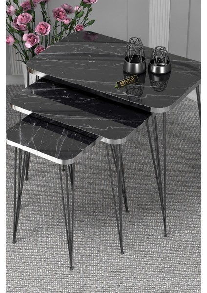 Zigon Sehpa Kr ve Orta Sehpa Kr Set Gümüş Bendir Tel Ayak Siyah modelleri