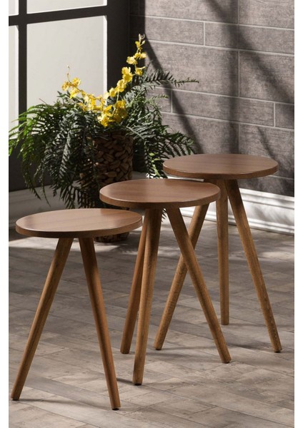 Zigon Sehpa ve Orta Sehpa Set Ahşap Torna Elips Ceviz fırsatları