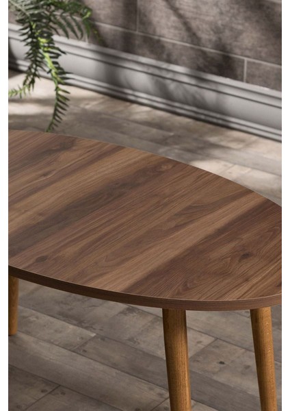 Zigon Sehpa ve Orta Sehpa Set Ahşap Torna Elips Ceviz indirimleri