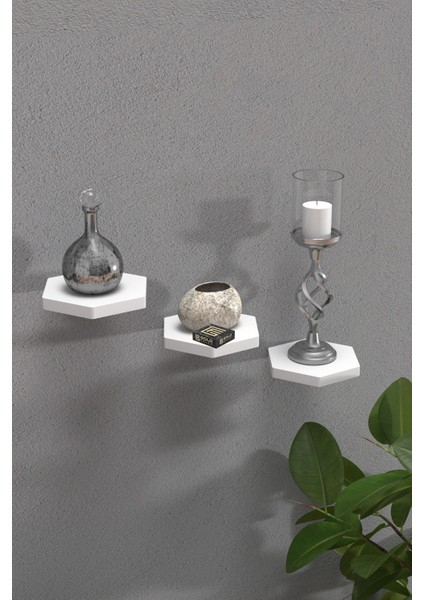 Duvar Rafı Dekoratif 3 Adet Çiçeklik Altıgen Beyaz