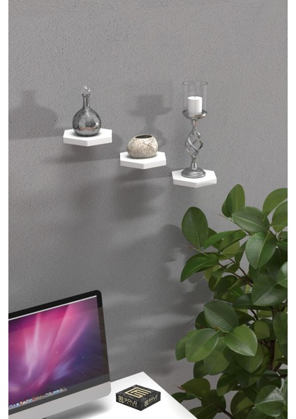 Duvar Rafı Dekoratif 3 Adet Çiçeklik Altıgen Beyaz modelleri