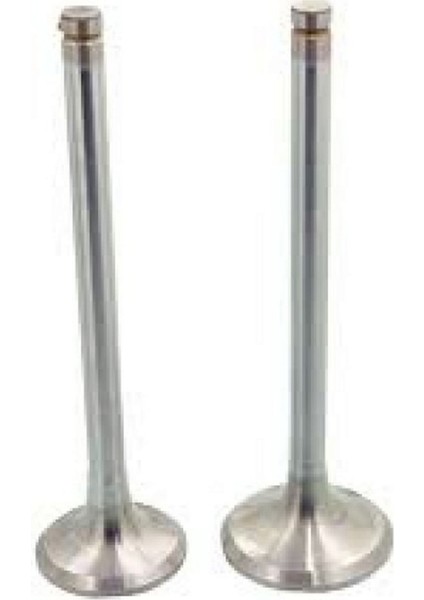 Subap Emme Egzoz Hyundai I20 1.2 16V G4LA In-8/ex-8 Dpmah