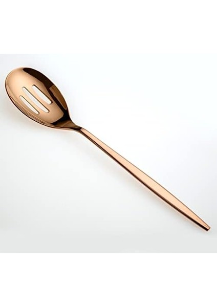 5800 Titanyum Bronz 5 Parça Servis Seti