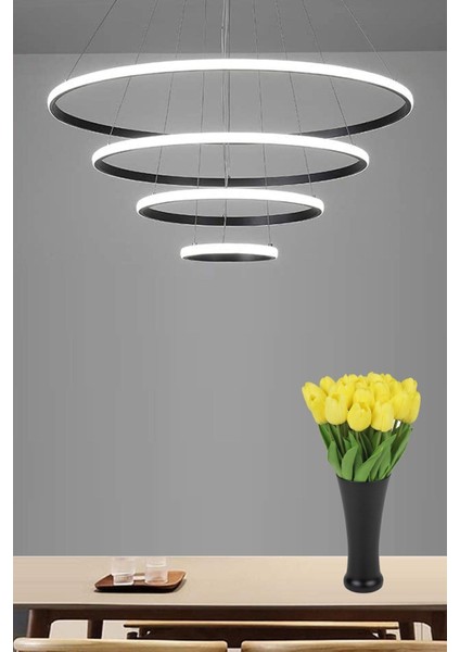 UltraNova Modern metal led avize, 2-4 lü, şık ve zarif tasarım, 20x30 boyut