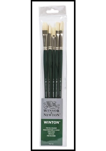 & Newton 5990606 Winton 5 Fırça, Yağlı Boya, Akrilik Boya ve Alkid Boya Için