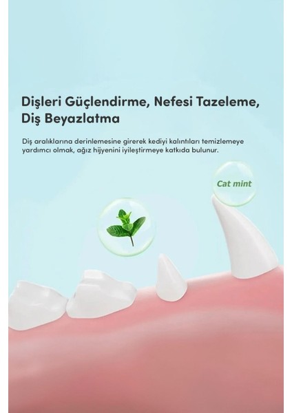 Avokado Şeklinde Catnipli Doğal Kedi Yalama Topu 6 cm (3 Adet) fırsatları