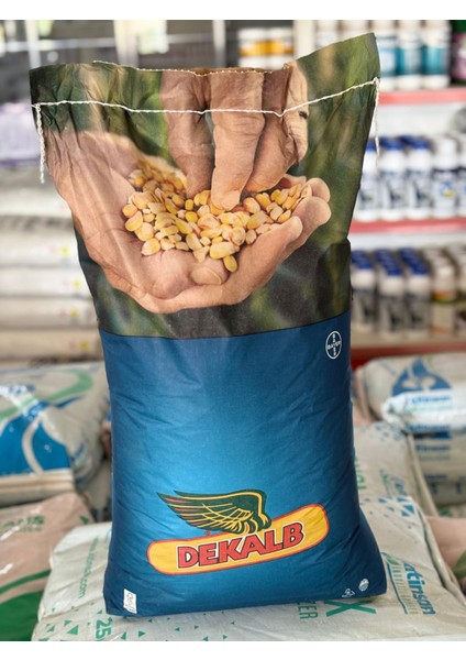 Dekalb C955 Silajlık Mısır Tohumu – Yüksek Verim, Üstün Dayanıklılık, Kaliteli Silaj 20 kg 50000 Adet