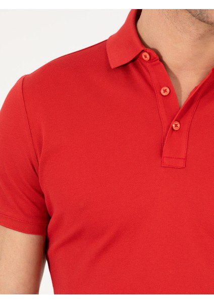 Erkek Nar Çiçeği Polo Yaka Slim Fit Basic Merserize T-shirt 50265364-VR039