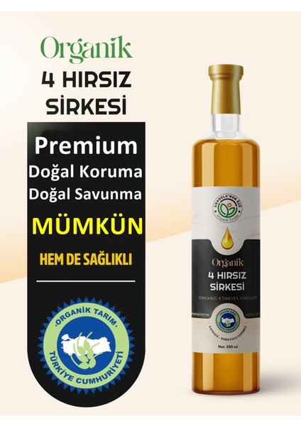 4 Hırsız