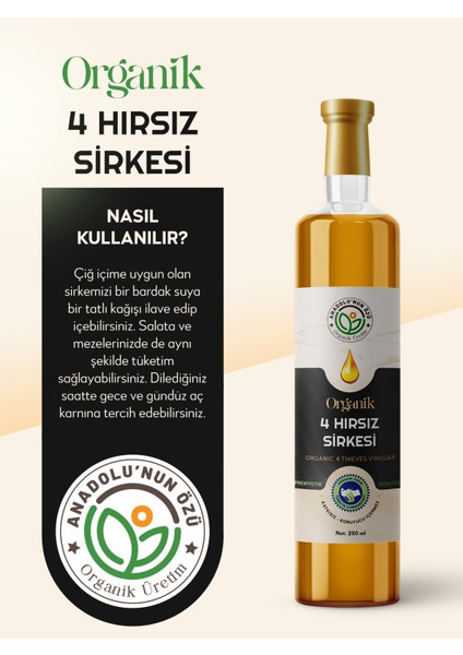 4 Hırsız