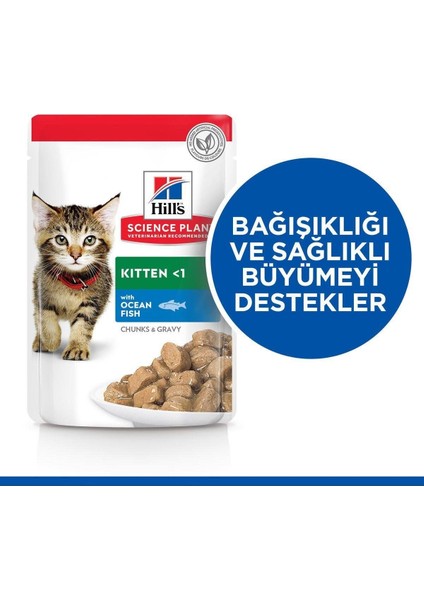 Okyanus Balıklı Pouch Yavru Kedi Maması 85GR - 24 Adet