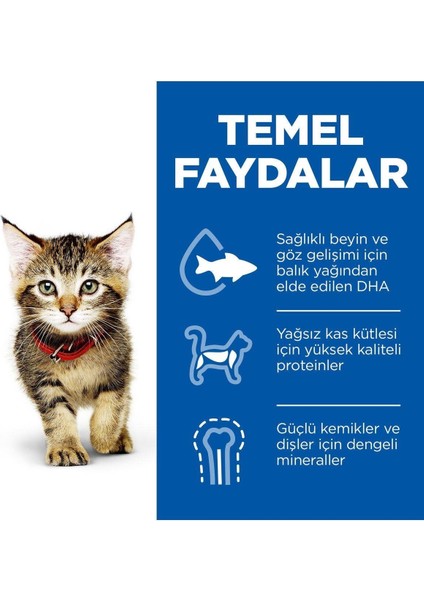 Okyanus Balıklı Pouch Yavru Kedi Maması 85GR - 24 Adet
