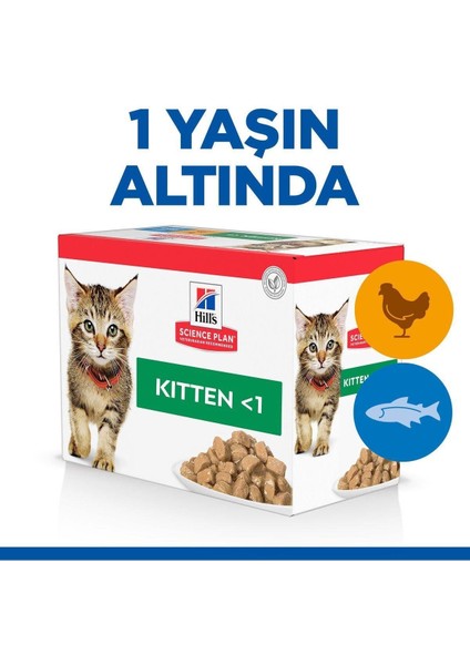 Okyanus Balıklı Pouch Yavru Kedi Maması 85GR - 24 Adet