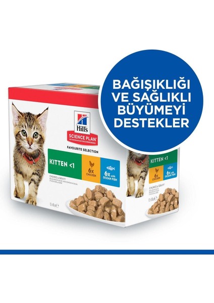 Okyanus Balıklı Pouch Yavru Kedi Maması 85GR - 24 Adet