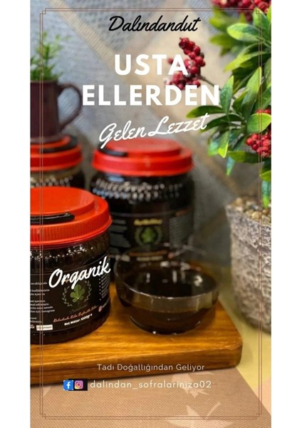 Yeni Mahsül Doğal Üzüm Pekmezi 500 gr