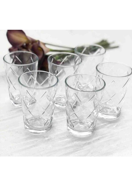 Mevsim 6'lı Su Bardağı 205 cc