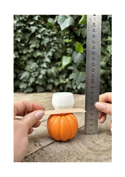 Concept Pumpkin Orta Boy Mum Kalıbı (Silikon)