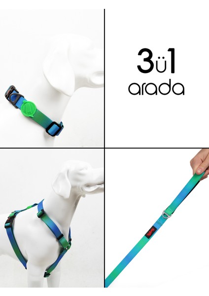 Amazon H-Tipi Göğüs Boyun Tasması ve Sevk Kayışı Seti 3ü1 Arada