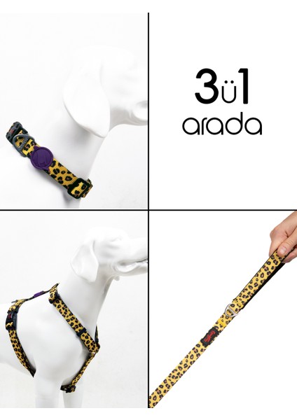Leopard H-Tipi Göğüs Boyun Tasması ve Sevk Kayışı Seti 3ü1 Arada