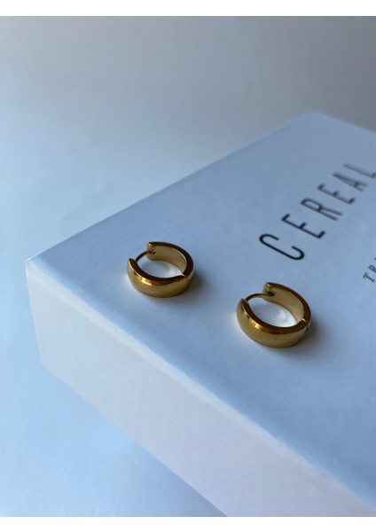 Gold Minimal Halka Çelik Küpe modelleri