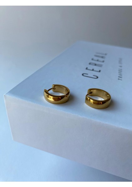 Gold Minimal Halka Çelik Küpe indirimleri