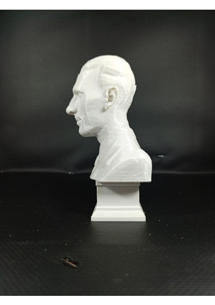Nikola Tesla 3D Model