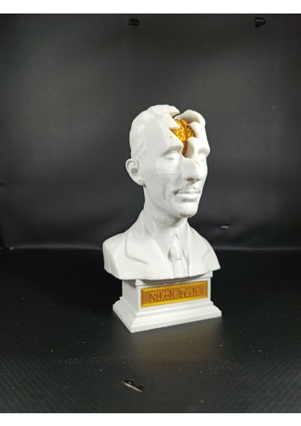 Nikola Tesla 3D Model