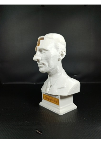 Nikola Tesla 3D Model